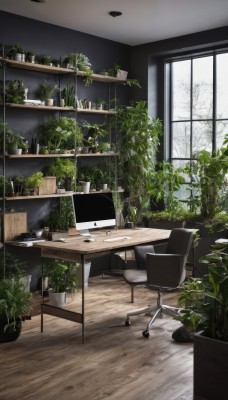 day,indoors,tree,cup,no humans,window,chair,table,plant,scenery,wooden floor,potted plant,lamp,computer,monitor,shelf,laptop,book,desk,keyboard (computer),mouse (computer),office