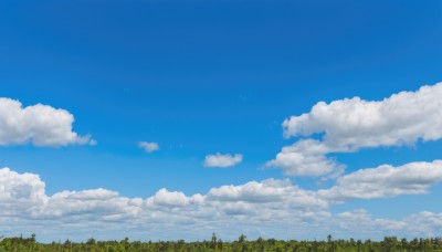 outdoors,sky,day,cloud,tree,blue sky,no humans,cloudy sky,nature,scenery,forest,grass