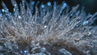 sky,blurry,no humans,depth of field,blurry background,scenery,light particles,bubble,bokeh,still life,wings,black background