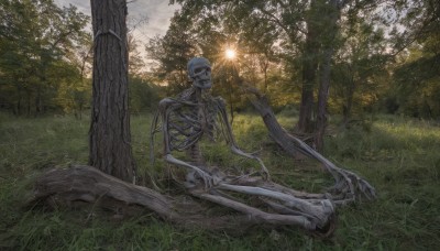 outdoors,sky,tree,no humans,grass,nature,scenery,forest,skull,ribs,skeleton,bone,horror (theme),undead