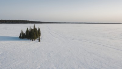 outdoors,sky,day,cloud,water,tree,no humans,ocean,nature,scenery,snow,forest,mountain,winter,landscape,grey sky,footprints,pine tree,monochrome,horizon,bare tree,fog