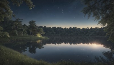 outdoors,sky,water,tree,no humans,night,bird,grass,plant,star (sky),nature,night sky,scenery,forest,starry sky,reflection,river,landscape,lake,reflective water