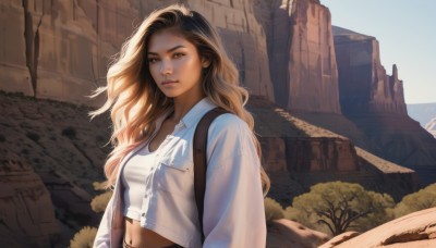 1girl,solo,long hair,breasts,looking at viewer,blonde hair,brown hair,shirt,long sleeves,navel,brown eyes,medium breasts,closed mouth,jacket,white shirt,upper body,small breasts,outdoors,open clothes,sky,day,midriff,bag,open jacket,tree,lips,crop top,wavy hair,sunlight,pocket,rock,mountain,realistic,nose,ruins,cliff,denim jacket,backpack,scenery