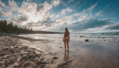 1girl, solo, long hair, brown hair, standing, swimsuit, ass, bikini, outdoors, sky, barefoot, day, cloud, water, from behind, tree, dutch angle, ocean, beach, cloudy sky, scenery, blue bikini, wading, reflection, rock, horizon, footprints