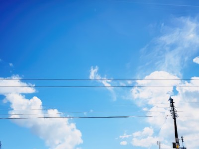 outdoors,sky,day,cloud,tree,blue sky,no humans,cloudy sky,scenery,summer,power lines,utility pole,contrail,cumulonimbus cloud,signature,bird,reflection