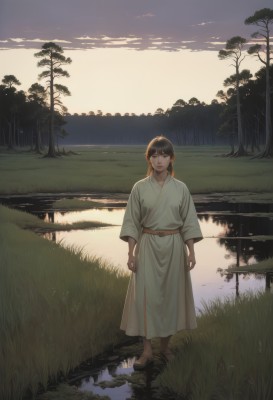 1girl,solo,long hair,looking at viewer,bangs,brown hair,black hair,long sleeves,twintails,brown eyes,standing,full body,boots,outdoors,sky,barefoot,belt,cloud,water,black eyes,tree,brown footwear,cloudy sky,grass,nature,scenery,forest,reflection,sunset,robe,arms at sides,twilight,lake,reflective water,ponytail,japanese clothes,sandals,river