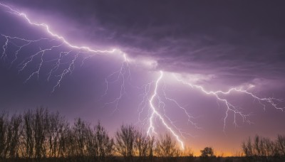 outdoors,sky,cloud,tree,no humans,cloudy sky,grass,nature,scenery,forest,sunset,electricity,lightning,landscape,purple sky,night,dark