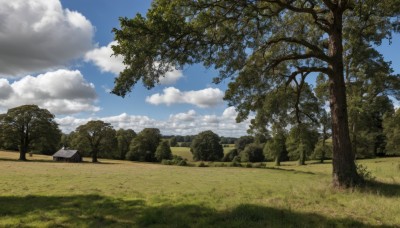 outdoors,sky,day,cloud,tree,blue sky,no humans,cloudy sky,grass,nature,scenery,forest,road,bush,field,house,landscape,path,hill,building