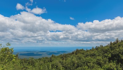 outdoors,sky,day,cloud,water,tree,blue sky,no humans,ocean,cloudy sky,grass,plant,nature,scenery,forest,horizon,summer,landscape,signature