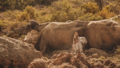 1girl,solo,long hair,blonde hair,brown hair,long sleeves,1boy,dress,sitting,closed mouth,outdoors,dark skin,white dress,tree,animal,grass,nature,scenery,forest,robe,rock,fantasy,wide shot,oversized animal,standing,fine art parody