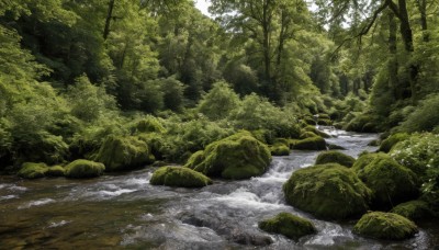 outdoors,day,water,tree,no humans,nature,scenery,forest,rock,river,waterfall,landscape,stream,sunlight,plant,green theme,moss