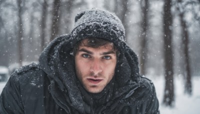 solo,looking at viewer,blue eyes,brown hair,black hair,1boy,hat,jacket,upper body,male focus,outdoors,hood,blurry,tree,lips,coat,facial hair,nature,beard,snow,hood up,forest,snowing,realistic,stubble,winter clothes,winter,blurry background