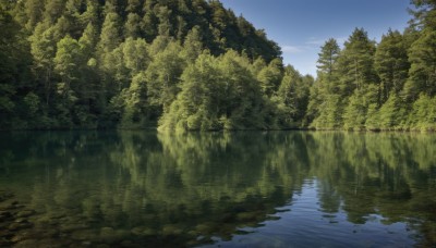 outdoors,sky,day,cloud,water,tree,blue sky,no humans,sunlight,nature,scenery,forest,reflection,lake,reflective water