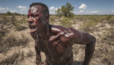 solo,open mouth,black hair,1boy,male focus,outdoors,sky,teeth,day,cloud,dark skin,tree,blue sky,blood,muscular,dark-skinned male,science fiction,veins,realistic,bald,dirty,short hair,grass,topless male,very short hair