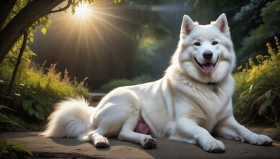 HQ,looking at viewer,open mouth,blue eyes,jewelry,full body,outdoors,lying,day,tongue,tongue out,necklace,tree,no humans,animal,leaf,sunlight,plant,on stomach,nature,pendant,forest,dog,light rays,realistic,animal focus,signature,collar,night,fangs,bush,wolf,puppy