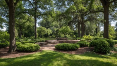 outdoors,sky,day,tree,blue sky,no humans,sunlight,grass,plant,nature,scenery,forest,road,bench,bush,path,park