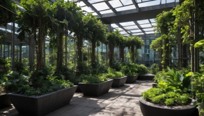 outdoors,sky,day,cloud,indoors,tree,no humans,window,leaf,sunlight,plant,building,scenery,potted plant,ruins,overgrown,artist name,signature,shadow