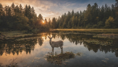 outdoors, sky, cloud, water, tree, no humans, bird, animal, cloudy sky, nature, scenery, forest, reflection, landscape, lake, reflective water, deer