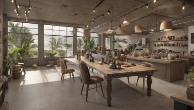 day,indoors,cup,no humans,window,shadow,bird,chair,table,sunlight,bottle,plant,box,scenery,drinking glass,wooden floor,basket,potted plant,lamp,stool,shelf,wine bottle,jar,counter,ceiling light,cabinet,sky,cloud,tree,tiles,tile floor,ceiling,barrel