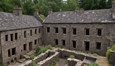 outdoors,day,tree,no humans,window,sunlight,grass,plant,building,nature,scenery,forest,stairs,door,bush,wall,ruins,house,moss,rock,path,stone,stone wall,stone stairs