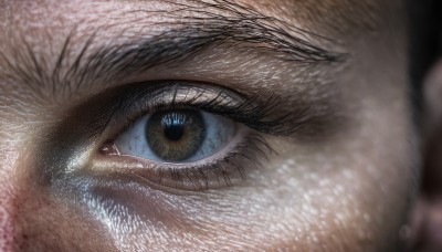 solo,looking at viewer,blue eyes,1boy,male focus,blurry,eyelashes,no humans,depth of field,animal,close-up,1other,reflection,realistic,animal focus,eye focus,portrait