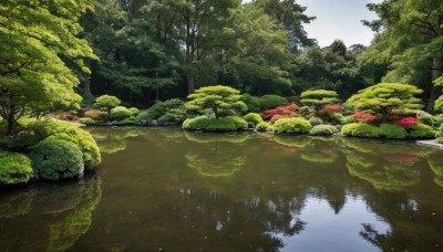 outdoors,sky,day,water,tree,no humans,grass,nature,scenery,forest,reflection,rock,road,river,landscape,lake,cloud,blue sky,plant,pond,reflective water