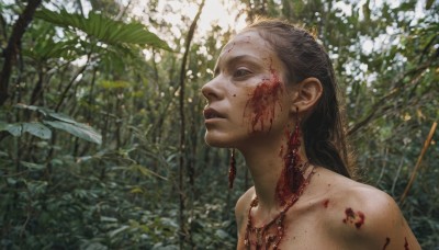 1girl,solo,long hair,brown hair,black hair,1boy,jewelry,upper body,braid,flower,earrings,outdoors,parted lips,day,necklace,blurry,tree,lips,blood,plant,nature,forest,freckles,blood on face,realistic,male focus,leaf,portrait,empty eyes,death