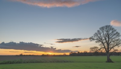 outdoors,sky,cloud,tree,blue sky,no humans,sunlight,cloudy sky,grass,nature,scenery,forest,sunset,mountain,sun,horizon,evening,landscape,mountainous horizon,gradient sky,orange sky,hill,day,field,bare tree,sunrise