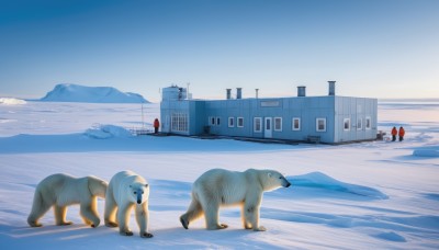 outdoors,sky,day,blue sky,no humans,animal,building,scenery,snow,dog,mountain,house,winter,bear,polar bear,1girl,ice,footprints