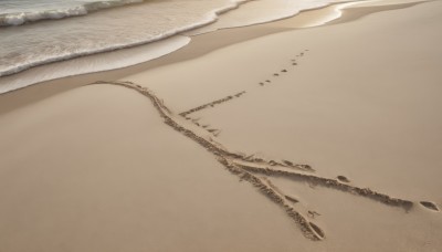 monochrome,outdoors,day,water,no humans,bird,ocean,animal,beach,scenery,sand,shore,brown theme,desert,footprints,waves