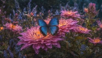 flower, outdoors, blurry, no humans, depth of field, blurry background, leaf, bug, plant, butterfly, scenery, pink flower, realistic, purple flower, blue butterfly