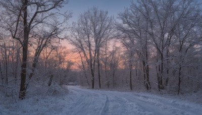 outdoors,sky,day,cloud,tree,blue sky,no humans,grass,nature,scenery,snow,forest,sunset,road,winter,bare tree,landscape,gradient sky,water