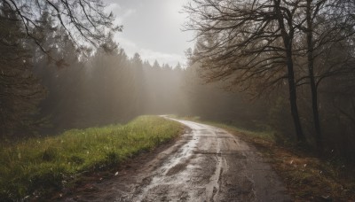 outdoors,sky,day,cloud,water,tree,no humans,sunlight,cloudy sky,grass,nature,scenery,forest,mountain,road,bare tree,river,landscape,path