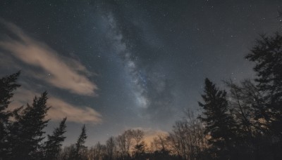 outdoors,sky,cloud,tree,no humans,night,cloudy sky,star (sky),nature,night sky,scenery,forest,starry sky,milky way,star (symbol)