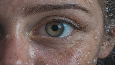 solo, looking at viewer, blue eyes, black hair, 1boy, male focus, eyelashes, close-up, water drop, realistic, eye focus