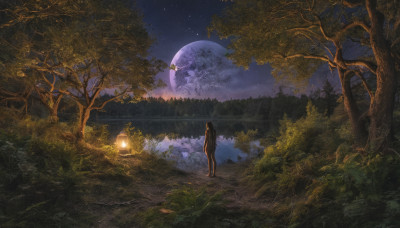 1girl, solo, long hair, outdoors, sky, from behind, tree, night, moon, star (sky), nature, night sky, scenery, full moon, forest, starry sky, lantern