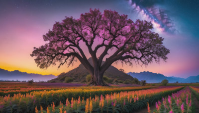 flower, outdoors, sky, cloud, tree, no humans, night, grass, star (sky), night sky, scenery, starry sky, sunset, mountain, field, twilight, landscape, gradient sky, purple sky