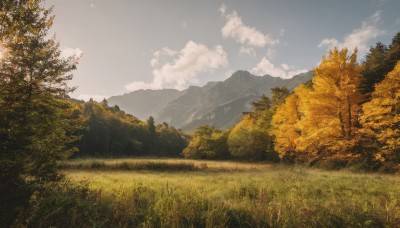 outdoors,sky,day,cloud,signature,tree,blue sky,no humans,cloudy sky,grass,nature,scenery,forest,mountain,field,autumn,landscape,mountainous horizon,hill,pine tree