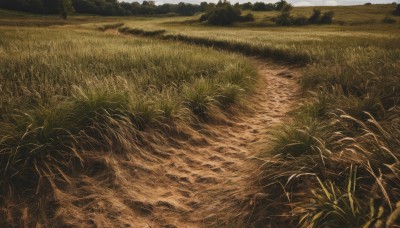 outdoors,sky,day,signature,water,tree,no humans,traditional media,grass,plant,nature,scenery,forest,field,river,landscape,realistic