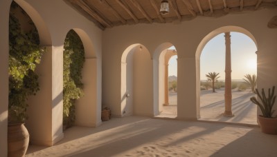 outdoors,sky,day,indoors,tree,no humans,window,shadow,sunlight,plant,building,scenery,stairs,door,sun,potted plant,light,pillar,flower pot,arch,column,blue sky,open door,desert