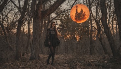 1girl,solo,long hair,looking at viewer,skirt,brown hair,shirt,black hair,long sleeves,dress,closed mouth,standing,pantyhose,outdoors,shoes,black skirt,black footwear,black dress,tree,black pantyhose,moon,nature,scenery,full moon,forest,bare tree,bangs,very long hair,pleated skirt,black eyes,walking,sunset,autumn leaves,wide shot,autumn