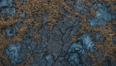 outdoors,water,tree,no humans,shadow,leaf,from above,traditional media,nature,scenery,forest,branch,painting (medium),autumn leaves,autumn,grass,plant,road,stone floor