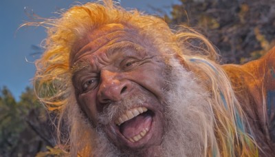 solo,looking at viewer,open mouth,blue eyes,blonde hair,1boy,male focus,outdoors,sky,teeth,day,blurry,tree,blue sky,blurry background,facial hair,portrait,beard,realistic,old,long hair,smile,tongue,parody,messy hair