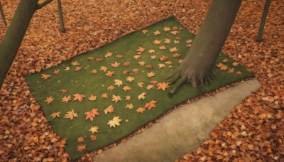 1boy,holding,outdoors,tree,no humans,leaf,grass,nature,scenery,forest,out of frame,autumn leaves,maple leaf,autumn,day,road,orange theme,path