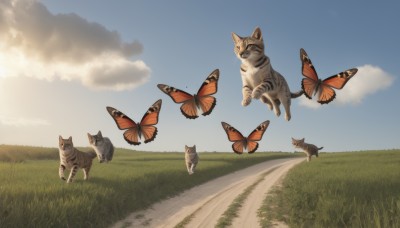 closed eyes,outdoors,sky,day,cloud,blue sky,no humans,animal,cat,grass,bug,butterfly,scenery,flying,walking,running,road,animal focus,field