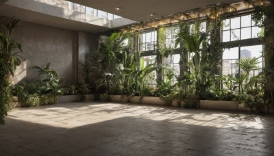 outdoors,day,indoors,tree,no humans,window,shadow,sunlight,plant,scenery,potted plant,overgrown,tiles,tile floor,ruins