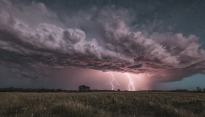 outdoors,sky,cloud,signature,tree,no humans,night,cloudy sky,grass,star (sky),nature,night sky,scenery,starry sky,electricity,field,lightning,horizon,landscape