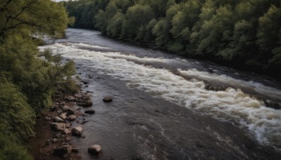 outdoors,water,tree,no humans,night,nature,scenery,forest,rock,river,shore,stream,day,ocean,beach,grass,sand,bush,waves