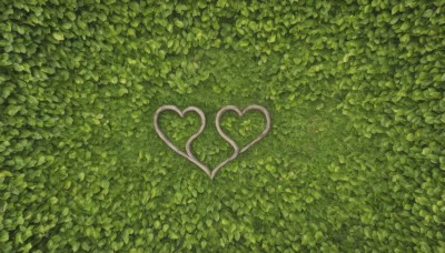 heart,outdoors,signature,no humans,leaf,traditional media,plant,nature,scenery,green theme,day,tree,from above,grass,bush,heart of string