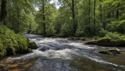 outdoors,sky,day,water,tree,no humans,nature,scenery,forest,rock,river,waterfall,landscape,stream,sunlight